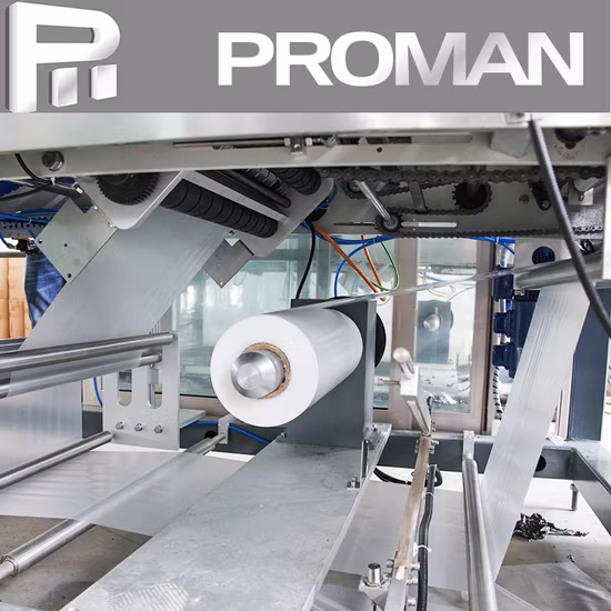 Top Technology Bottle Shrink Wrap Packing Automatic Shrink Sleeve Wrapping Packaging Machine